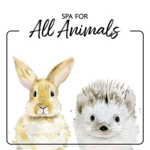 Spa for All Animals: Pet Therapy Music for Deep Relaxation, Animal Reiki, In Pet Salon - Animal Melody Wizard