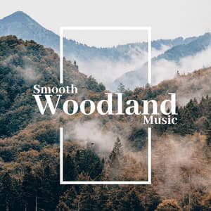 Smooth Woodland Music: Singing Birds, Howling Wind, Flowing Brook, Rainfall - Universe of Nature Orchestra