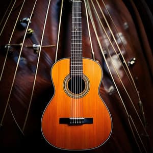 Strings in Harmony: The Art of Guitar Music - Real Guitar Music