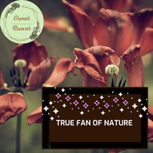 True Fan of Nature - Calm Music