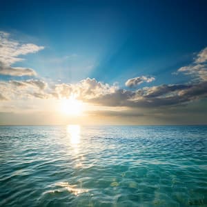 Orchestra Of Pure Relaxation: Serene Melodies For Unwinding - Bertie Lambert