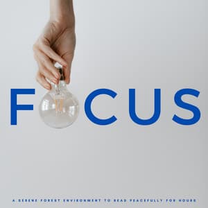 Focus: A Serene Forest Environment To Read Peacefully For Hours - Studying Music Experience
