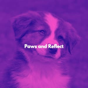 Paws and Reflect - Coffeeshop Smooth Jazz Playlist Classics