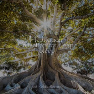 Meditation Collection for Deep Sleep - Rockabye Lullaby