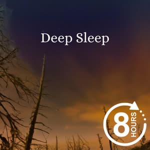 8 Hours of Deep Sleep Music for Relax, Calm, Meditation, Zen, Study - Sleep Radiance
