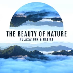 The Beauty of Nature: Relaxation & Relief. Delicate Sounds Allowing for Daily Meditation - Mindfullness Meditation World