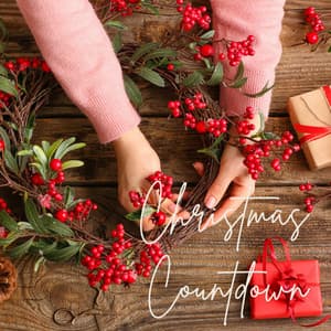 Christmas Countdown - Instrumental Christmas Hymns