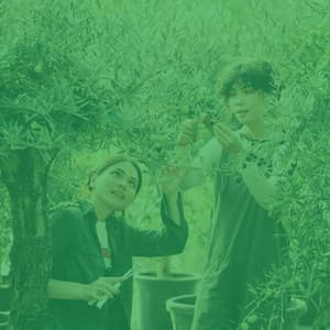 Mysterious Jazz Guitar Solo - Bgm for Taking Notes - Calming Instrumental Jazz Ambiance