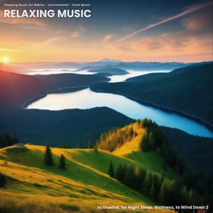 Relaxing Music to Unwind, for Night Sleep, Wellness, to Wind Down 2 - Sleeping Music for Babies