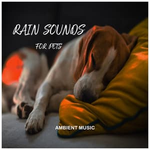 Ambient Music for Pets: Rain Sounds - Music for Calming Dogs