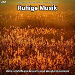 #01 Ruhige Musik als Einschlafhilfe, zum Entspannen und gegen Lärmbelästigung - Entspannungsmusik für tiefen Schlaf