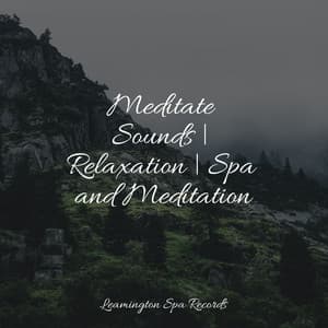 Meditate Sounds | Relaxation | Spa and Meditation - Deep Focus