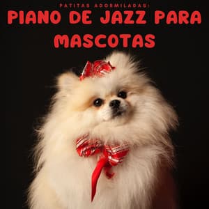 Patitas Adormiladas: Piano De Jazz Para Mascotas - Piano relajante profundo