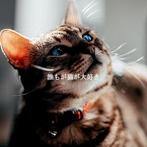 誰もが猫が大好き - Cocktail Lounge Music