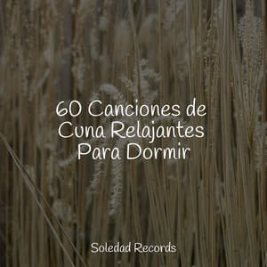 60 Canciones de Cuna Relajantes Para Dormir - Sonidos de la Naturaleza Relax
