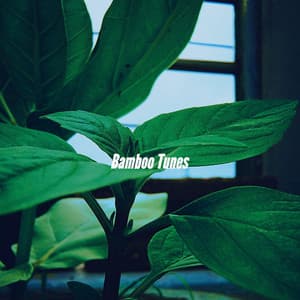 Bamboo Tunes - The Happy Jazz Lounge