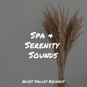 Spa & Serenity Sounds - Rain Sound Plus