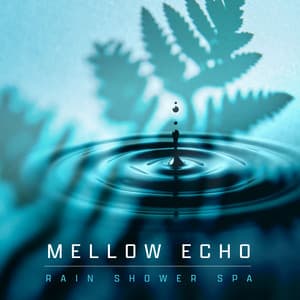 Mellow Echo - Rain Shower Spa