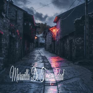 Maravilla De Tranquilidad - Sonidos de la Naturaleza Relajacion