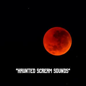 * Haunted Scream Sounds * - The Haunted House of Horror Sound Effects
