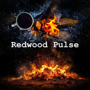 Redwood Pulse - Fireplace Sounds