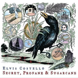 Secret, Profane and Sugarcane - Elvis Costello