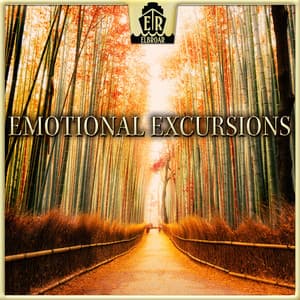 Emotional Excursions - Intimate Moments, Heartwarming Piano & Orchestra Performances - Nitzan Sagie