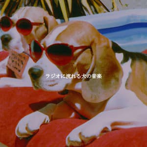 ラジオに流れる犬の音楽 - Easy Jazz Music