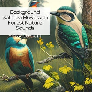 Background Kalimba Music with Forest Nature Sounds - Yoga Society