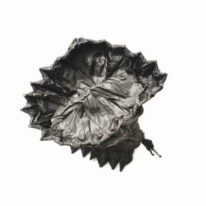 Ambiance for Relaxed Sunday Nite - Working from Home Music