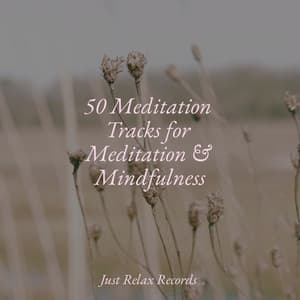 50 Meditation Tracks for Meditation & Mindfulness - Musica de Relajación Academy