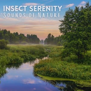 Insect Serenity: Sounds of Nature - Wildlife Sound Recordings