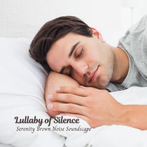 Lullaby of Silence: Serenity Brown Noise Sleeping Soundscape - Noise Gravity