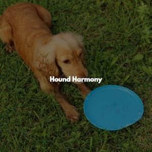 Hound Harmony - Lounge Smooth Jazz Deluxe
