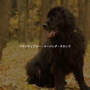 パウジティブリー・スージング・サウンド - Musica per Cucinare