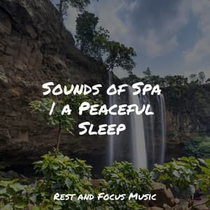 Sounds of Spa | a Peaceful Sleep - Study Zone