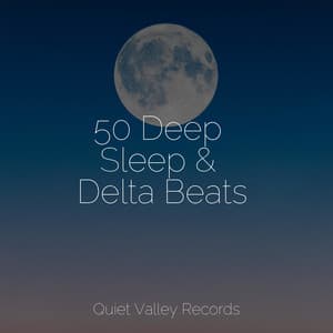 50 Deep Sleep & Delta Beats - Spa