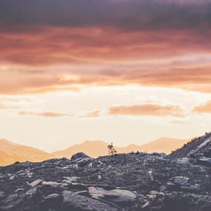 Música Curativa - Música De Relajación Para Dormir Profundamente