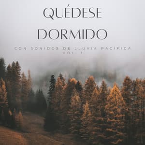 Quédese Dormido Con Sonidos De Lluvia Pacífica Vol. 1 - Lluvia Relajante para Dormir