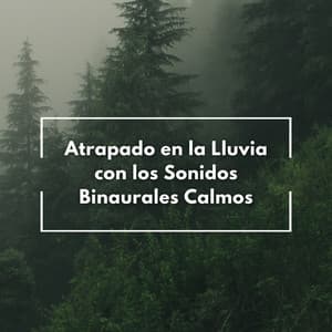 Atrapado En La Lluvia Con Los Sonidos Binaurales Calmos - Grabaciones binaurales ritmos