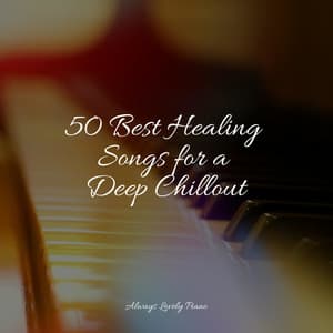 50 Piano Melodies for Massage - Piano Soul