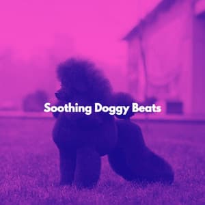 Soothing Doggy Beats - Chillout Playlist Studio