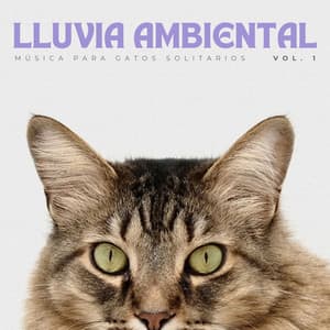 Lluvia Ambiental: Música Para Gatos Solitarios Vol. 1 - Lluvia en España