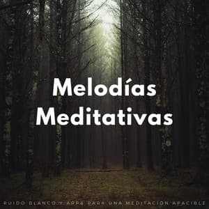 Melodías Meditativas: Ruido Blanco Y Arpa Para Una Meditación Apacible - Sonidos de la Naturaleza Ruido Blanco para Mindfulness