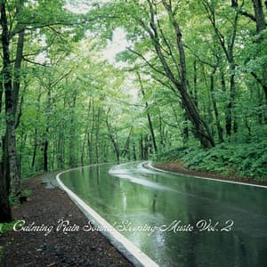Calming Rain Sound Sleeping Music Vol. 2 - The Sleep Phasers