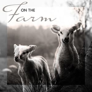 On the Farm - Unique Collection of Animal Sounds Straight from the Countryside Like Horses, Ducks, Hens, Donkeys and More - Close to Nature Music Ensemble
