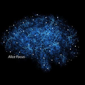 Contours of Thought - Alice Focus