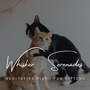 Harmonic Whisker Serenades: Meditative Piano for Kittens - Piano for cats