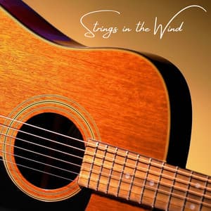 Strings in the Wind - Jazz Guitar Guys