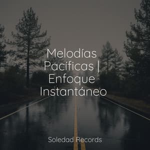 Melodías Pacíficas | Enfoque Instantáneo - Lluvia